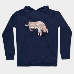 A Pink Fairy Armadillo under the moon Hoodie